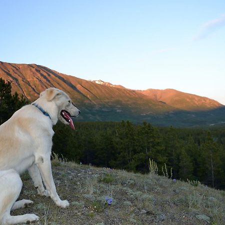 Spirit Lake Lodge Whitehorse Luaran gambar